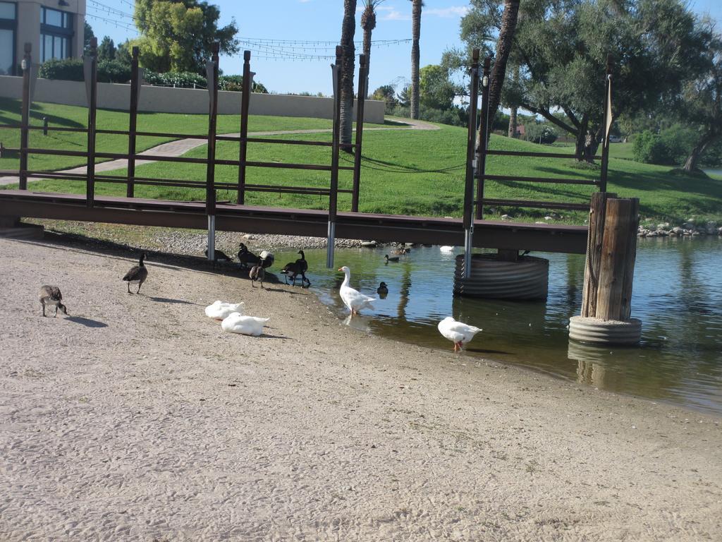 Mccormick Ranch Golf Villa Scottsdale Ngoại thất bức ảnh